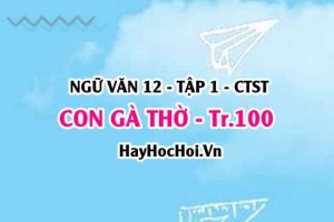 Soạn bài Con gà thờ trang 100, 101, 102, 103, 104, 105, 106, 107 Ngữ văn 12 Chân trời sáng tạo